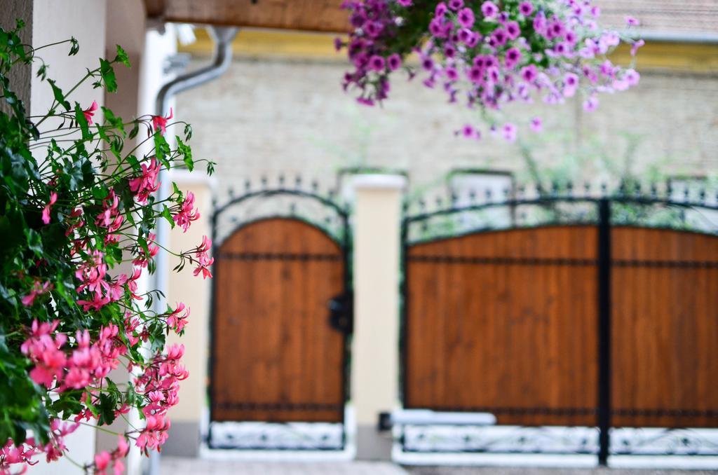 Pava Apartmanhaz Makó المظهر الخارجي الصورة
